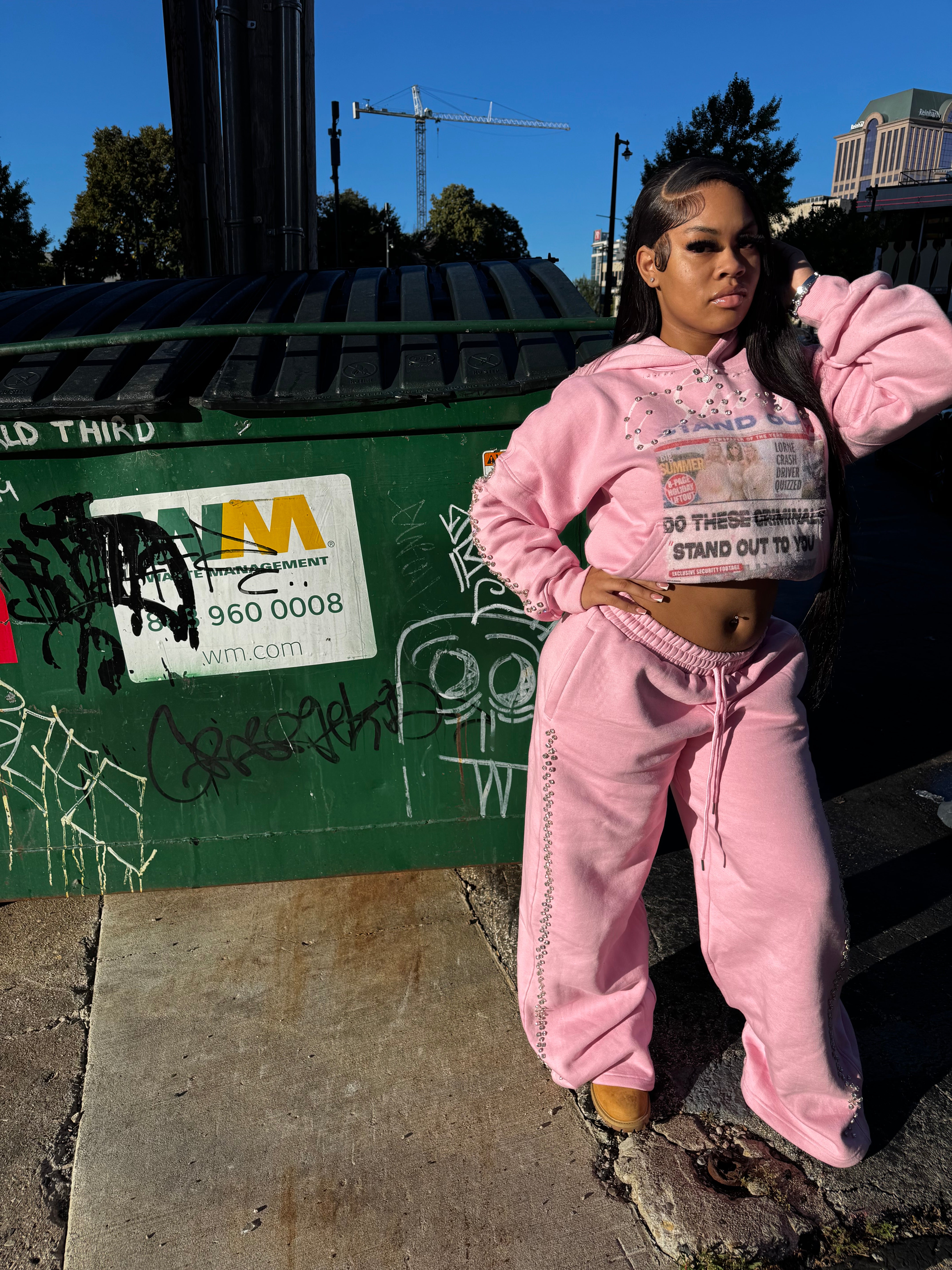 Pink Heist Sweatpants